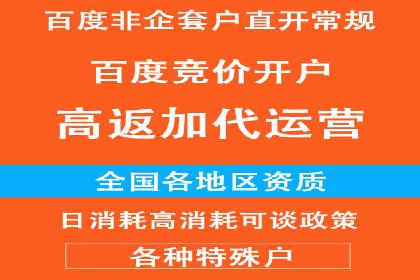 某企业通过SEO和SEM双管齐下实现业绩飞跃的案例